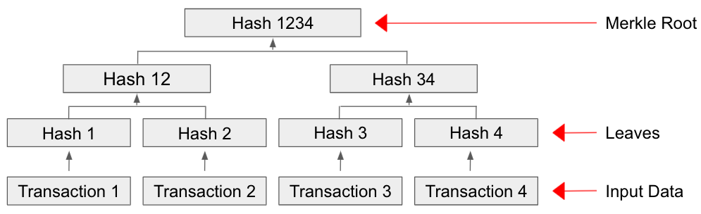 Exhibit Showing a A Merkle Tree